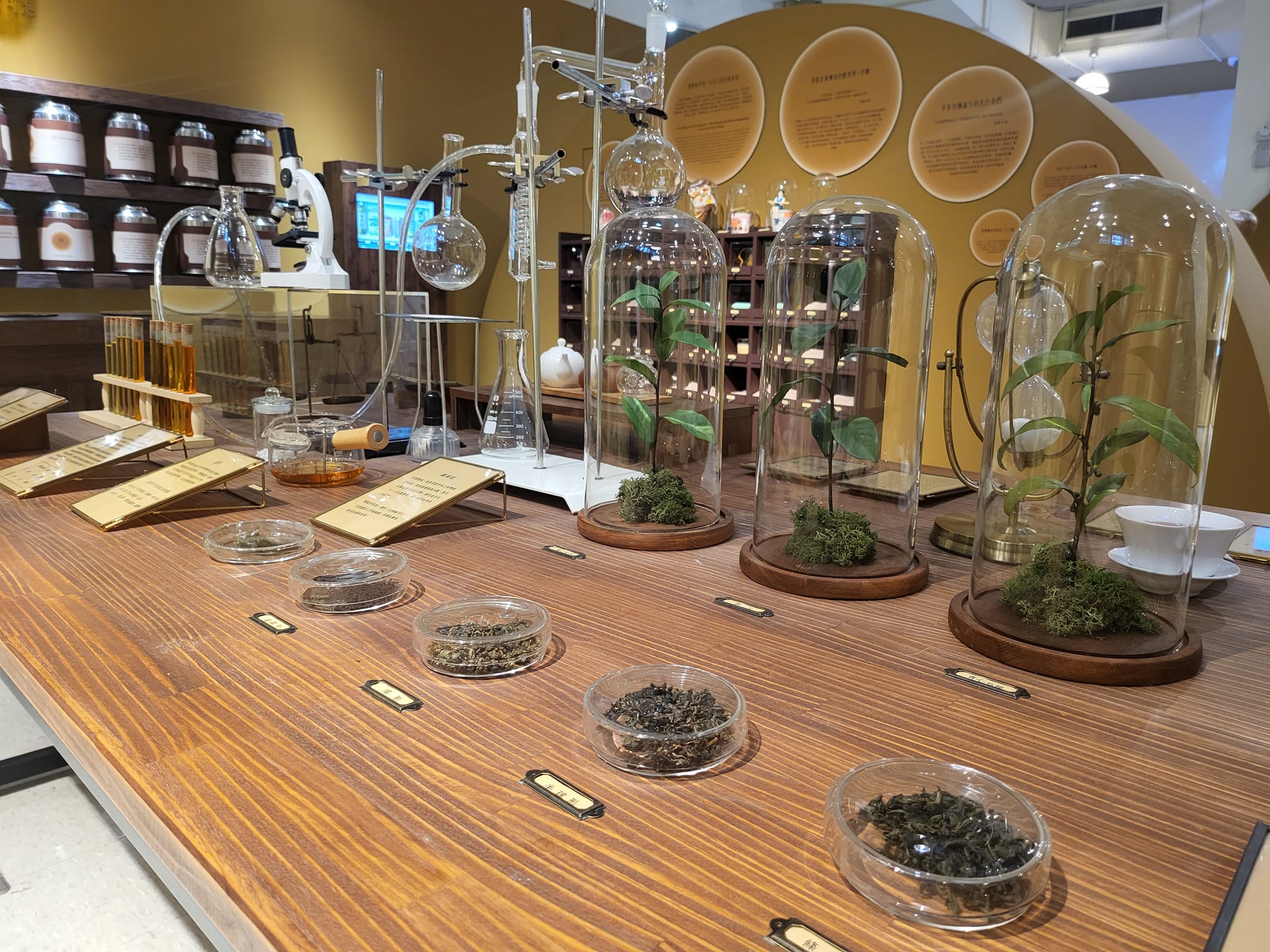 Lưu Nháp Tự động