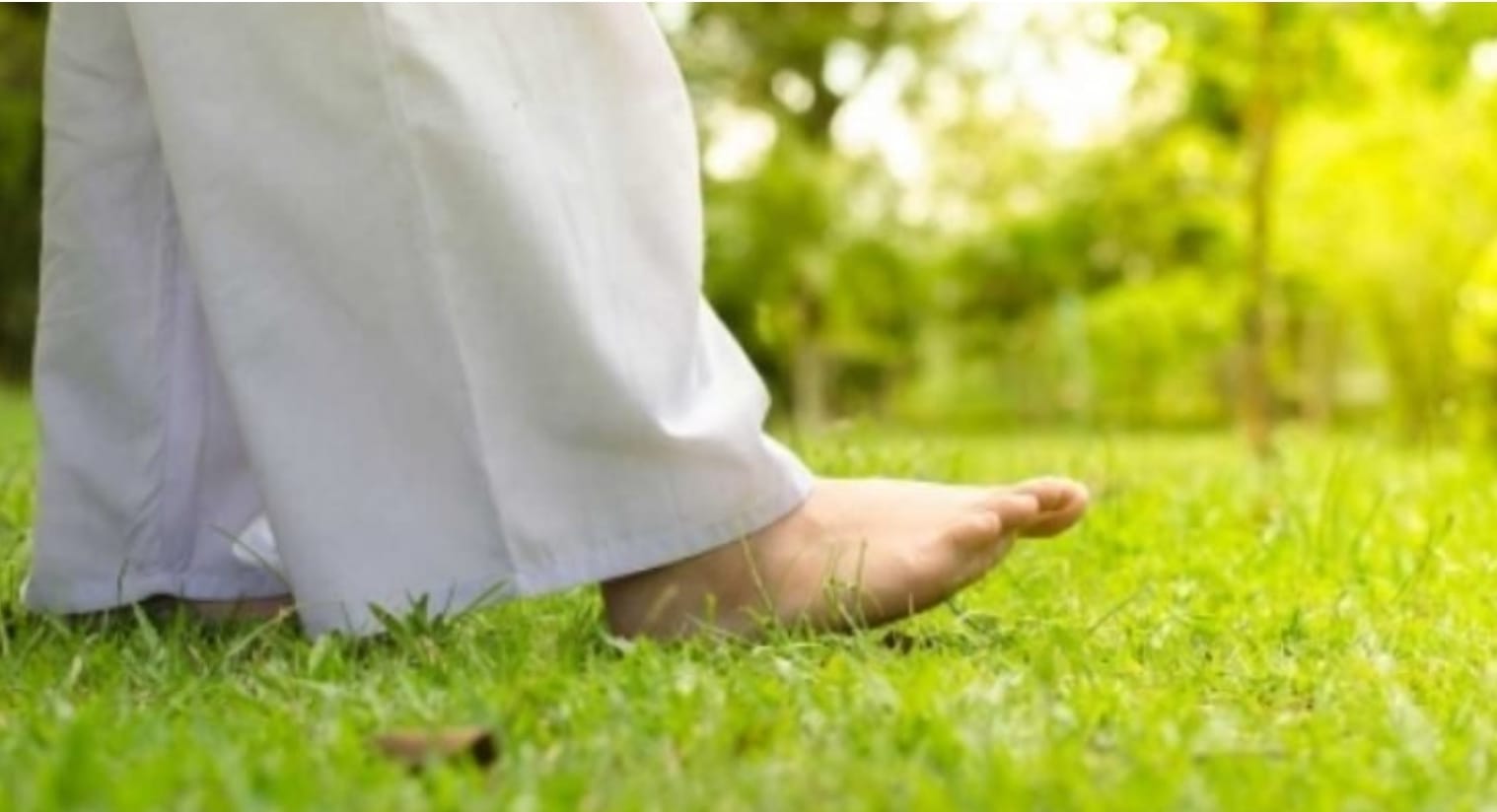 Chân Thành (thổ)